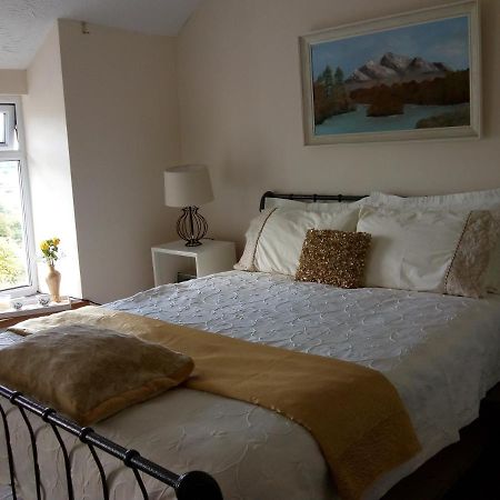 Hyfrydle Heights Villa Pen-y-groes Екстериор снимка
